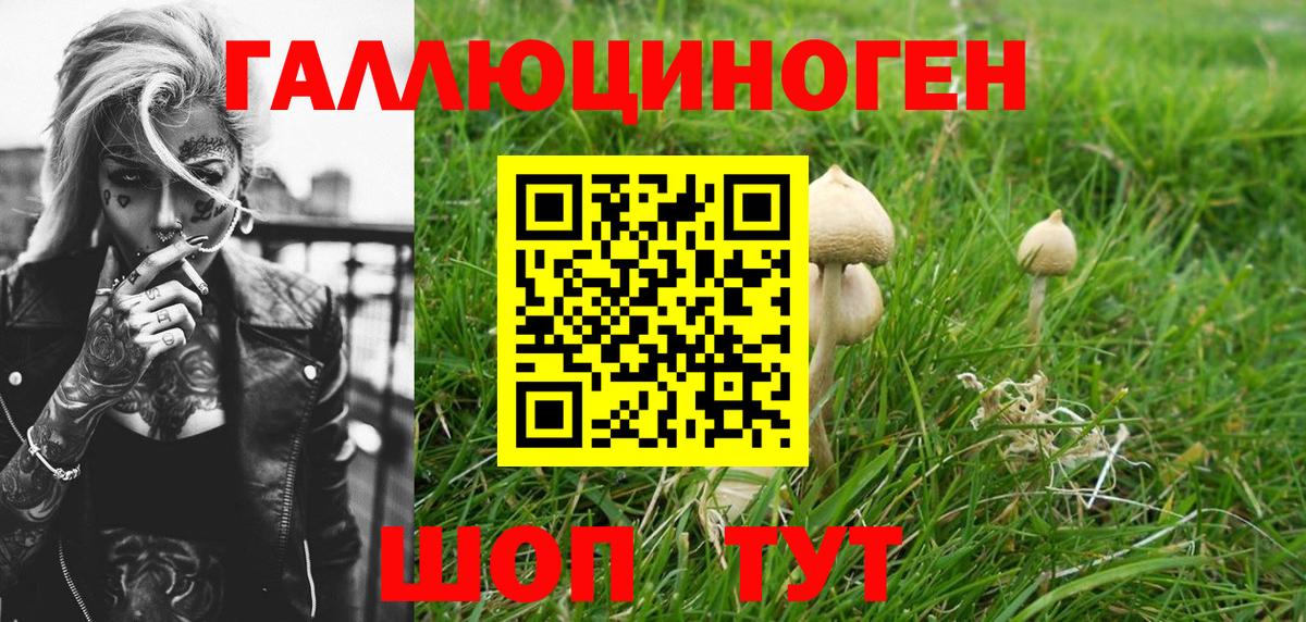 Псилоцибиновые грибы Psilocybine cubensis  Псилоцибиновые грибы MAGIC MUSHROOMS  Вход с VPN  Менделеевск 
